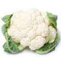 Suntoday tight white indonesia 110 days planting f1 hybrid cauliflower seeds